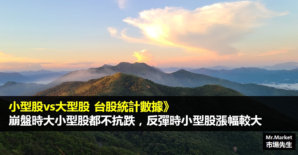 小型股vs大型股 台股統計數據》崩盤時大小型股都不抗跌，反彈時小型股漲幅較大