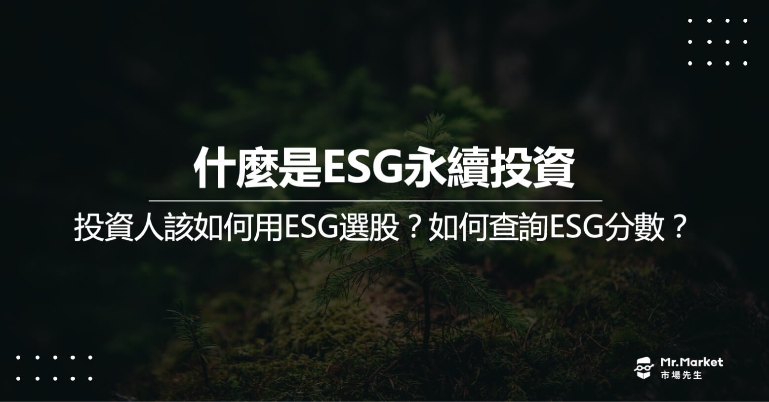 ESG發展歷史源起》投資人該如何用ESG選股？如何查詢ESG分數？