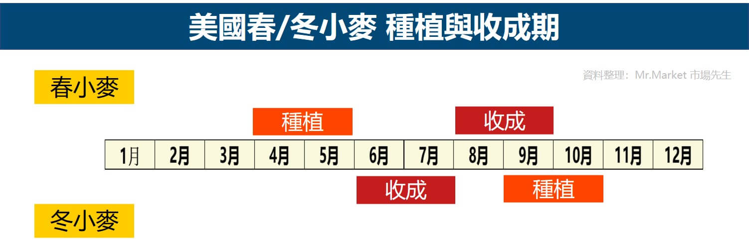 美國小麥生長時期