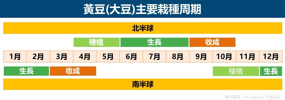 黃豆(大豆)主要栽種周期