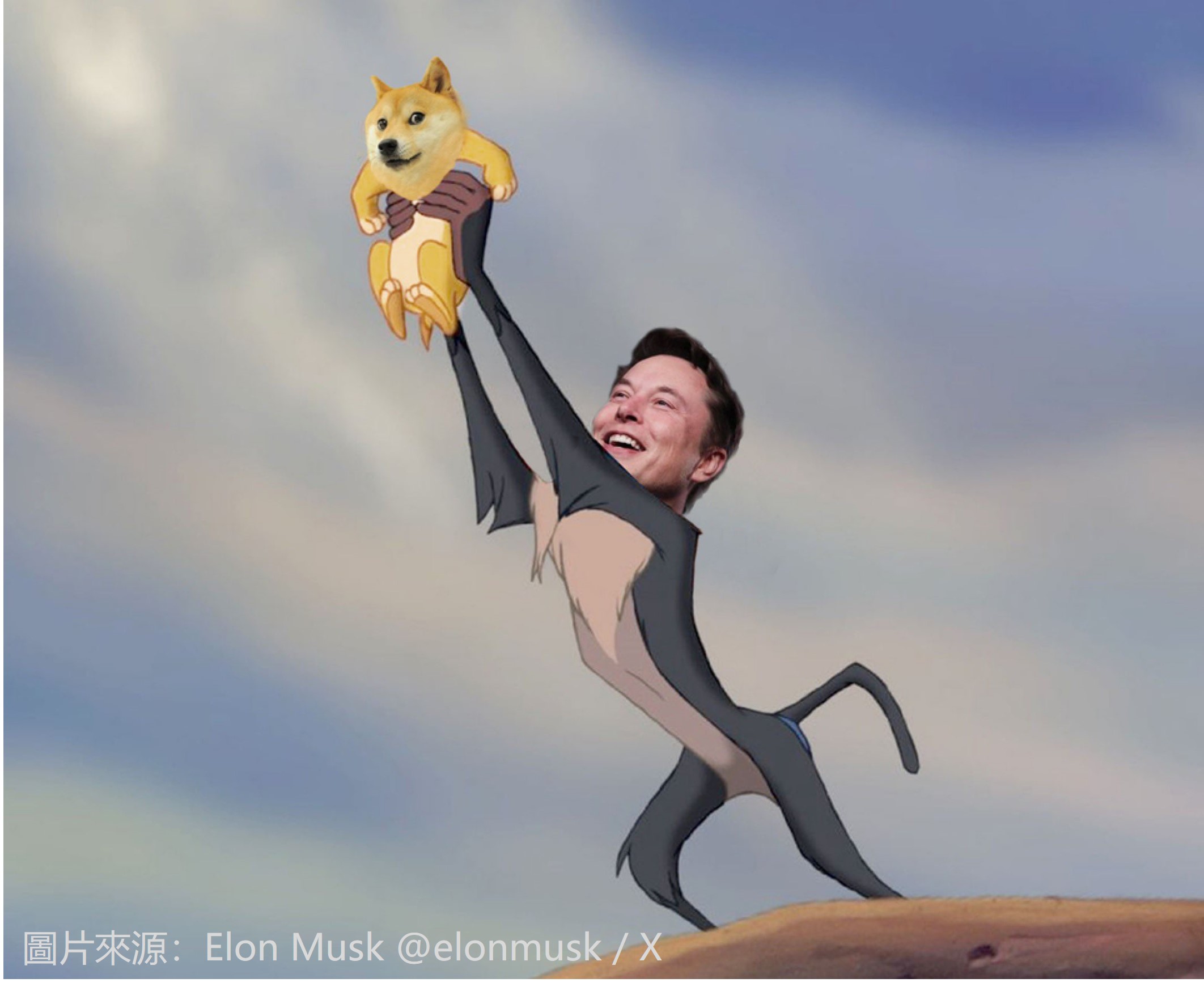 DOGE Elon meme
