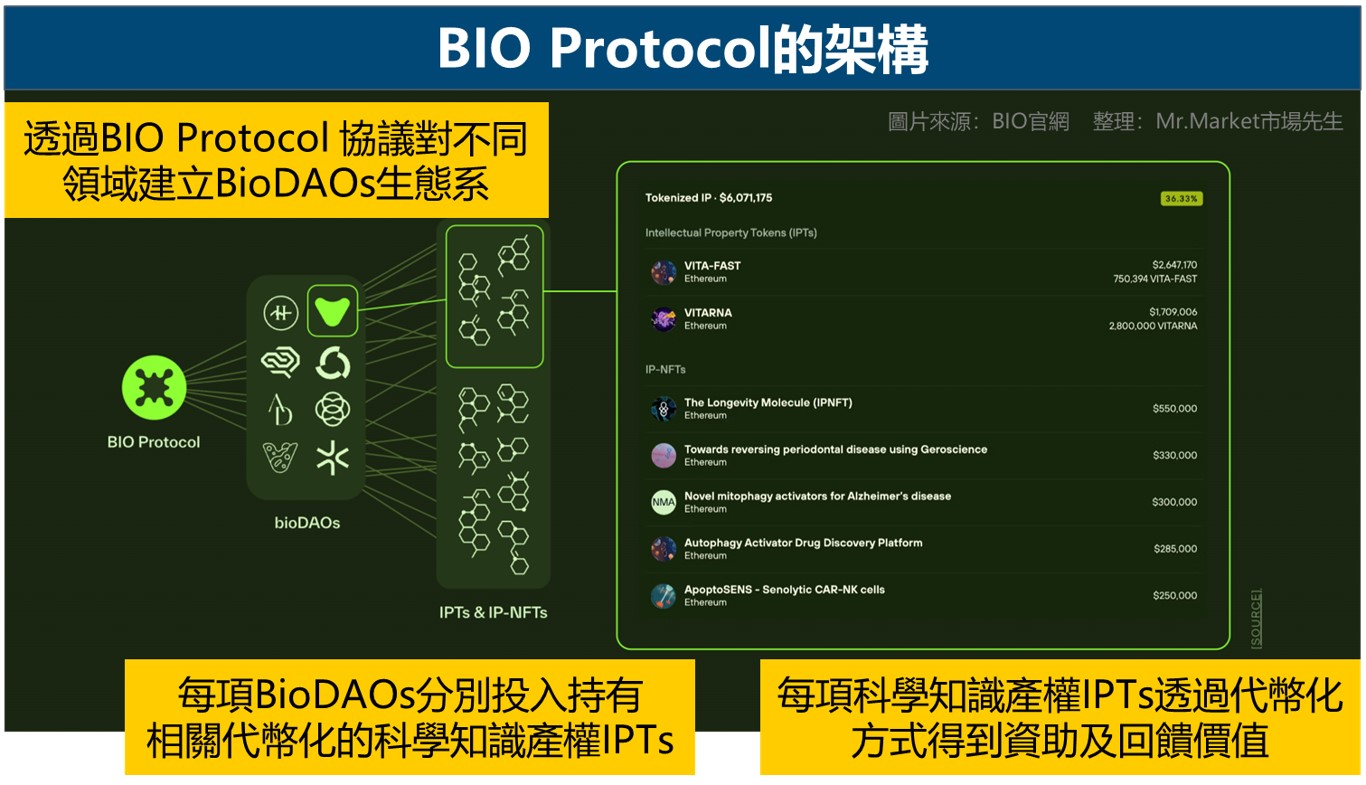 BIO Protocol的架構
